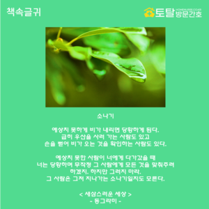 소나기