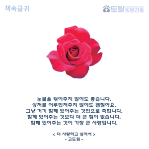 눈물을 닦아주지 않아도 좋습니다